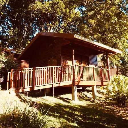 Cabanas San Gerardo San Gerardo de Dota Exterior photo